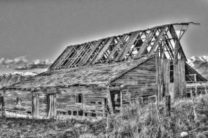 Old Barn (12)-c52.jpg